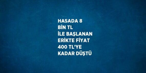 HASADA 8 BİN TL İLE BAŞLANAN ERİKTE FİYAT 400 TL’YE KADAR DÜŞTÜ