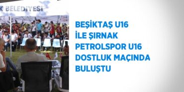 28772205012861026086