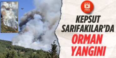 28776207092365320577