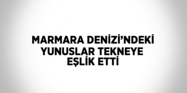28776215282635020314tasarimli
