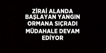 28783308152214927391tasarimli