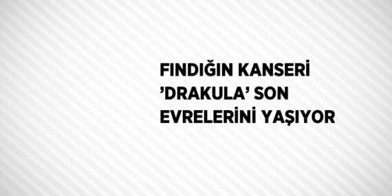 FINDIĞIN KANSERİ ’DRAKULA’ SON EVRELERİNİ YAŞIYOR