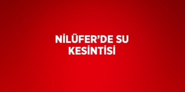 28790300672004920782tasarimli