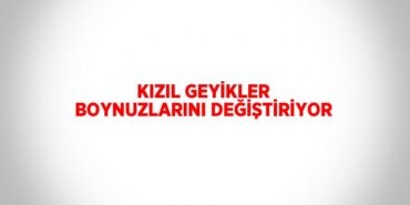 28791312712284331974tasarimli