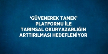 28798304102718424224tasarimli