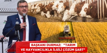 28799281282195821402tasarimli