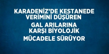 28801238252594530268tasarimli