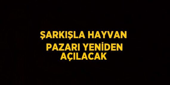 ŞARKIŞLA HAYVAN PAZARI YENİDEN AÇILACAK