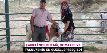 28810246912302822168tasarimli