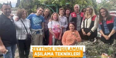 28813236822800821995tasarimli