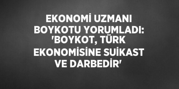 EKONOMİ UZMANI BOYKOTU YORUMLADI: ‘BOYKOT, TÜRK EKONOMİSİNE SUİKAST VE DARBEDİR’