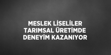 28817305942449126108tasarimli