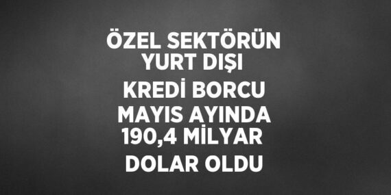 ÖZEL SEKTÖRÜN YURT DIŞI KREDİ BORCU MAYIS AYINDA 190,4 MİLYAR DOLAR OLDU