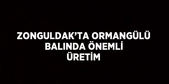 ZONGULDAK’TA ORMANGÜLÜ BALINDA ÖNEMLİ ÜRETİM