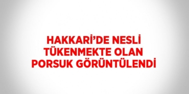 28828317832411221894tasarimli