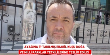 28829304292779131785tasarimli
