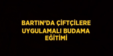 28831249042112223346tasarimli