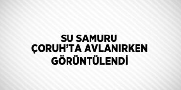 28840298403125325471tasarimli