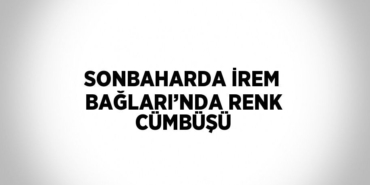 28842281312088224027tasarimli