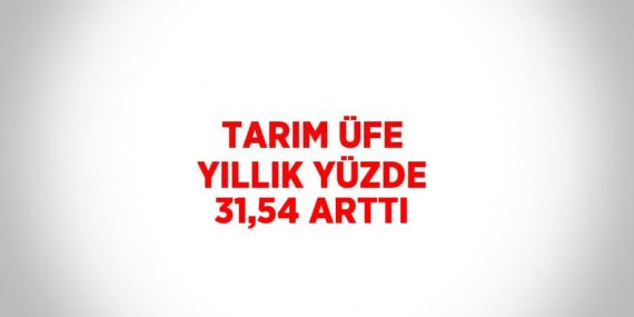 TARIM ÜFE YILLIK YÜZDE 31,54 ARTTI