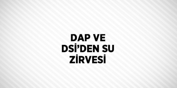 DAP VE DSİ’DEN SU ZİRVESİ
