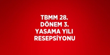 28856246522698231742tasarimli