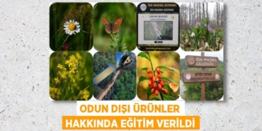 28859203453155123487tasarimli