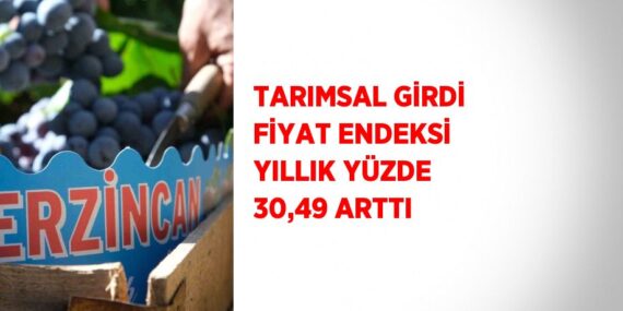 TARIMSAL GİRDİ FİYAT ENDEKSİ YILLIK YÜZDE 30,49 ARTTI