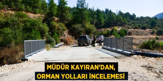 MÜDÜR KAYIRAN’DAN, ORMAN YOLLARI İNCELEMESİ