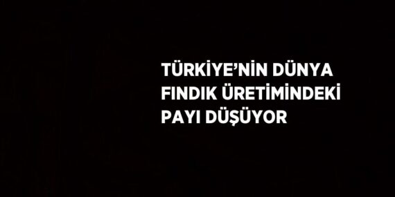TÜRKİYE’NİN DÜNYA FINDIK ÜRETİMİNDEKİ PAYI DÜŞÜYOR