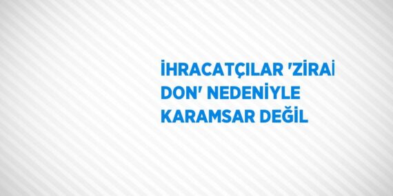 İHRACATÇILAR ‘ZİRAİ DON’ NEDENİYLE KARAMSAR DEĞİL