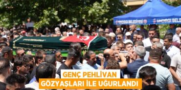 28886265063193728498tasarimli