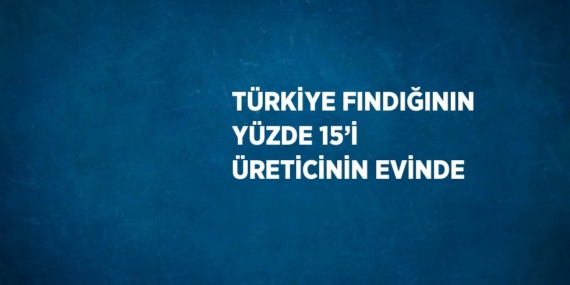 TÜRKİYE FINDIĞININ YÜZDE 15’İ ÜRETİCİNİN EVİNDE
