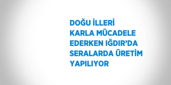 DOĞU İLLERİ KARLA MÜCADELE EDERKEN IĞDIR’DA SERALARDA ÜRETİM YAPILIYOR