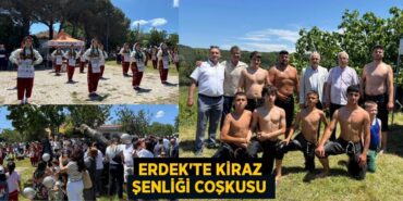 28893291132765831319tasarimli