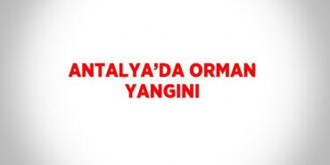 28894297502374122595tasarimli