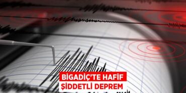 28898316152251121261tasarimli