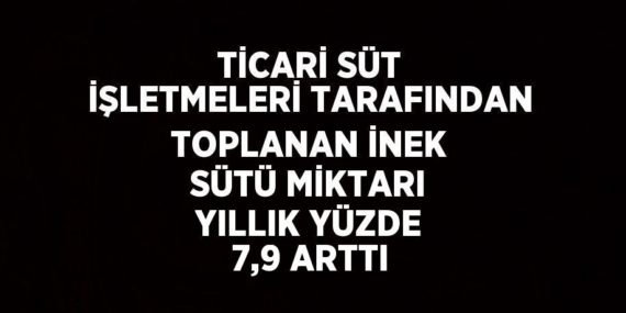 TİCARİ SÜT İŞLETMELERİ TARAFINDAN TOPLANAN İNEK SÜTÜ MİKTARI YILLIK YÜZDE 7,9 ARTTI
