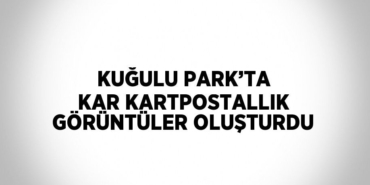 28918284113082129622tasarimli