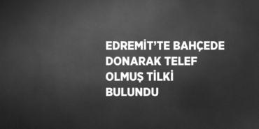 28927201352910526011