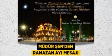28929302723181528668tasarimli
