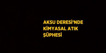 28931227462579723108