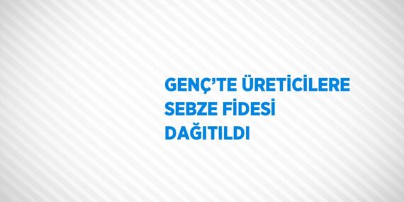 GENÇ’TE ÜRETİCİLERE SEBZE FİDESİ DAĞITILDI