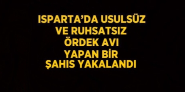 28933214053020225840tasarimli
