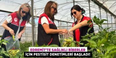 28934261993080426492tasarimli