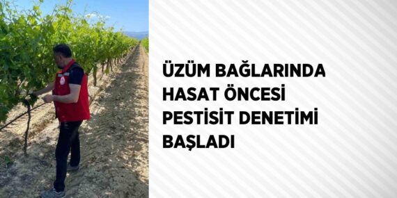 ÜZÜM BAĞLARINDA HASAT ÖNCESİ PESTİSİT DENETİMİ BAŞLADI