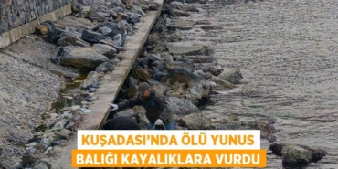 28938249132845525761tasarimli
