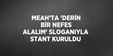 28938258022551426101tasarimli