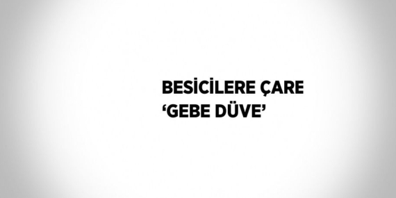 BESİCİLERE ÇARE ‘GEBE DÜVE’