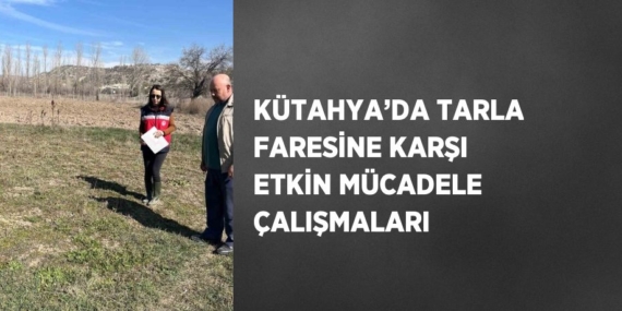 KÜTAHYA’DA TARLA FARESİNE KARŞI ETKİN MÜCADELE ÇALIŞMALARI